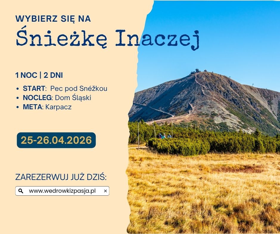 wybierz się na