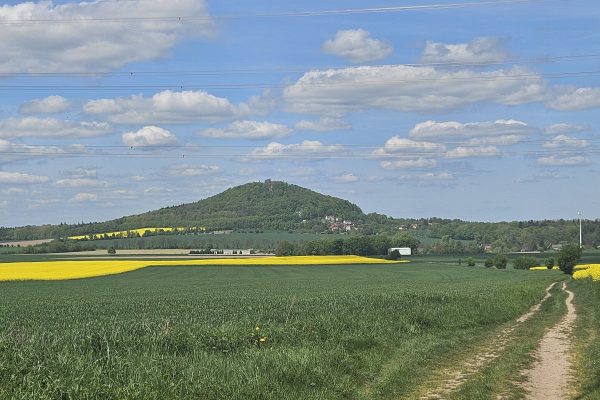 Grodziec