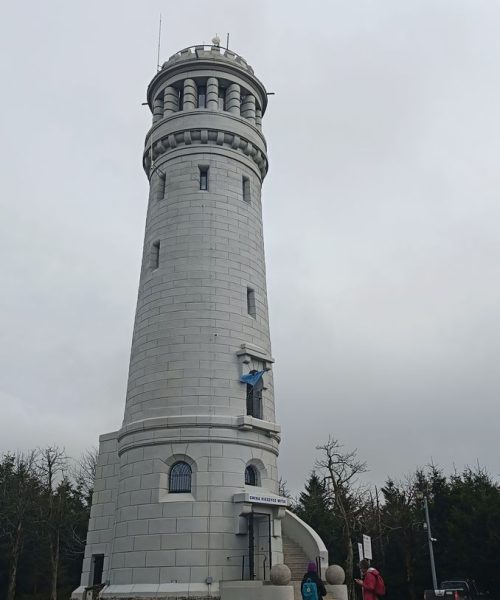 IMG20240302123055